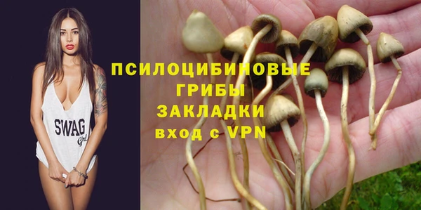 гидра Балахна